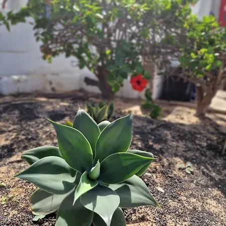 아파트 Casa Vivi Fuerteventura