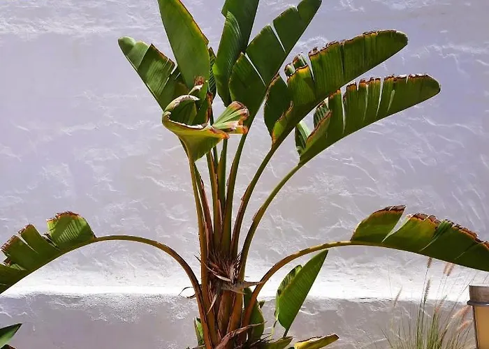 Casa Vivi Fuerteventura Διαμέρισμα