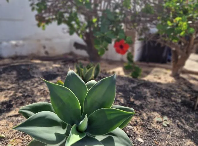 Διαμέρισμα Casa Vivi Fuerteventura
