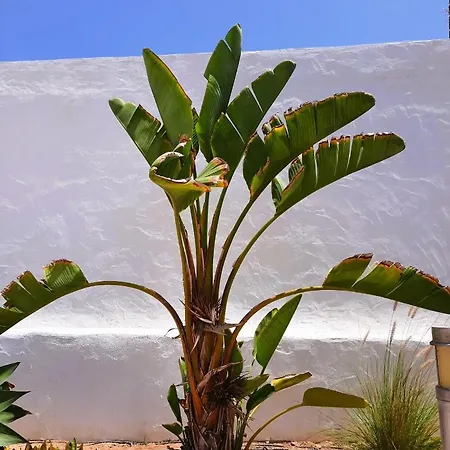 Casa Vivi Fuerteventura Apartmán