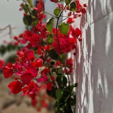 Casa Vivi Fuerteventura *